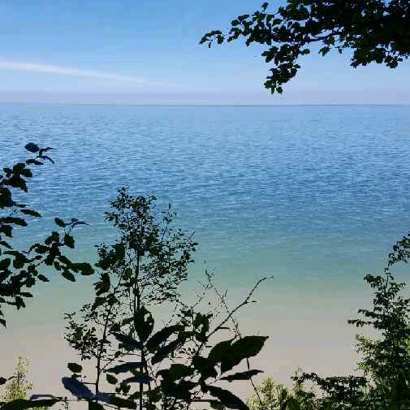 Meet your Posher, Payton - Picture 1 of 1